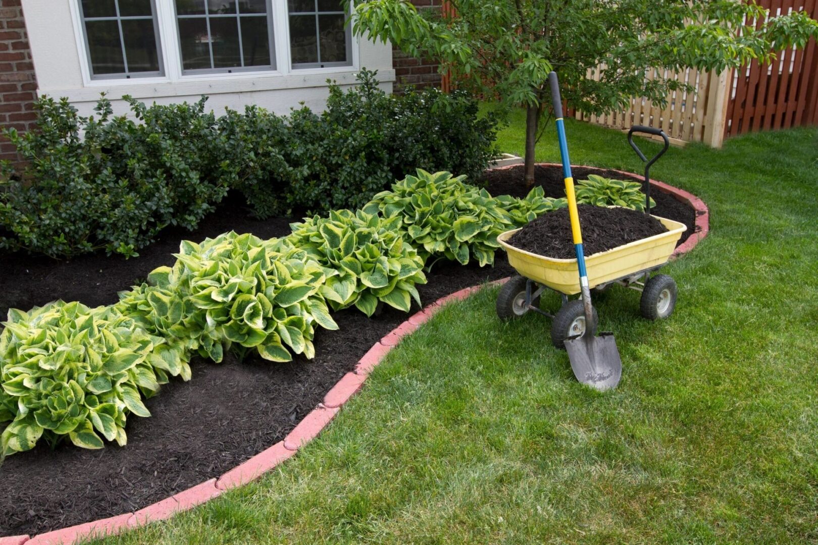 A garden with mulch and flowers.